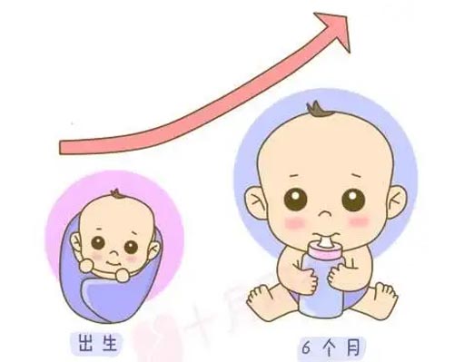 Ӥٻʲôԭ