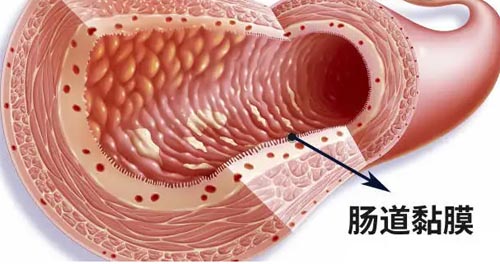 Ѫ