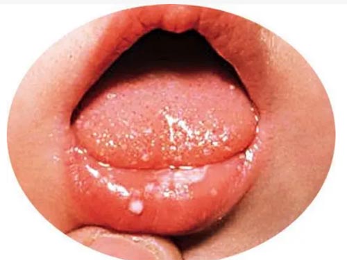 ڴļƷ